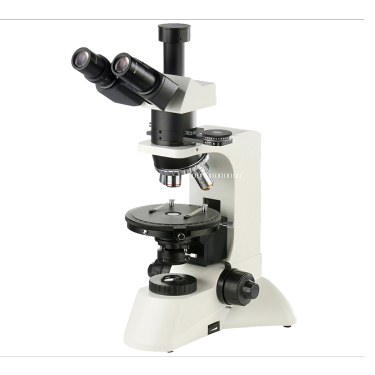 偏光顯微鏡圖片