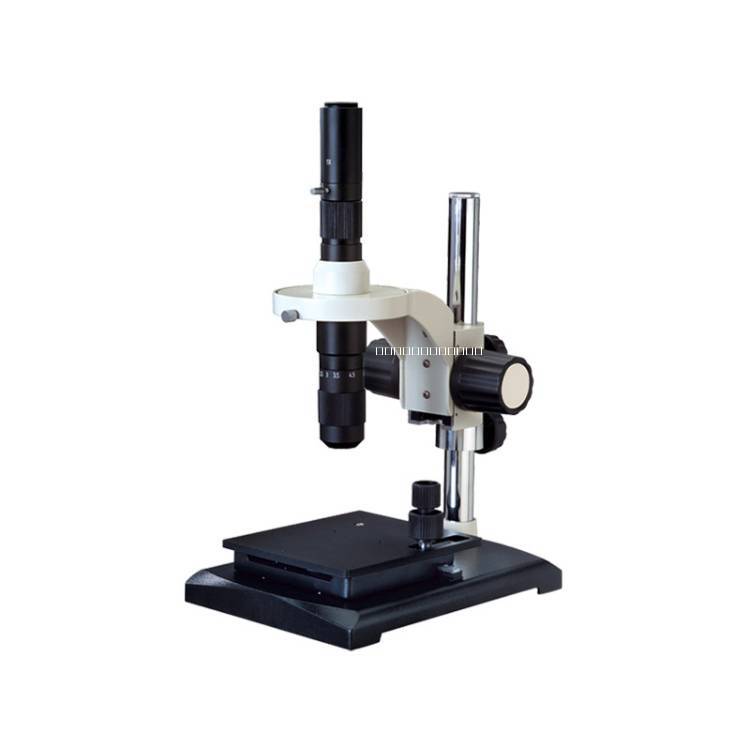 體視顯微鏡圖片