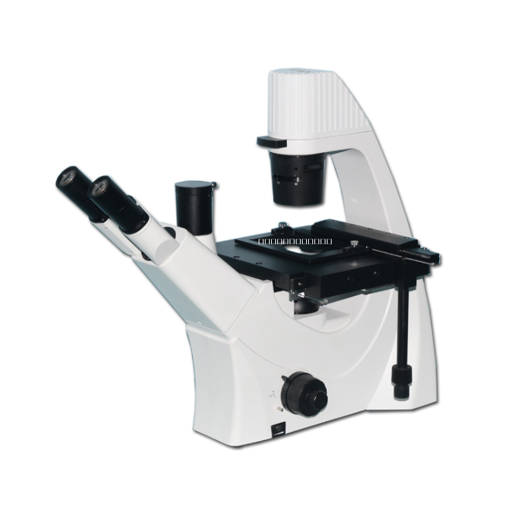 倒置生物顯微鏡圖片