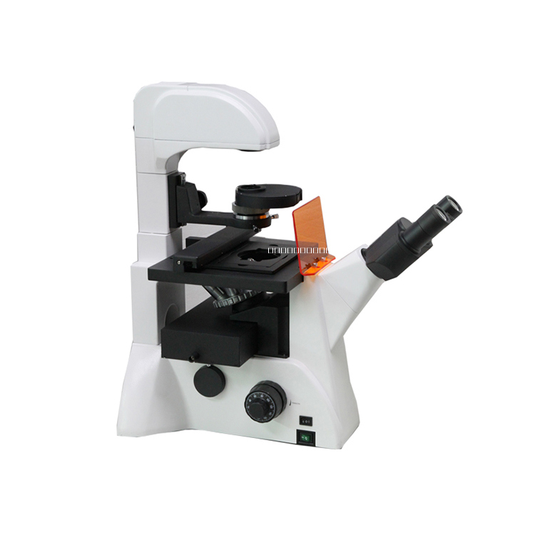 倒置熒光顯微鏡圖片