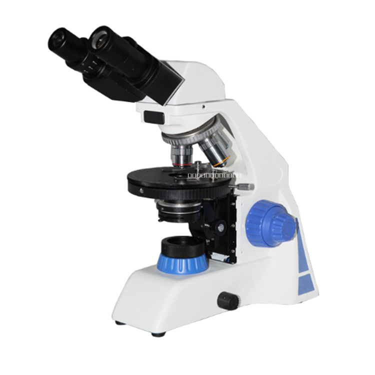 偏光顯微鏡圖片